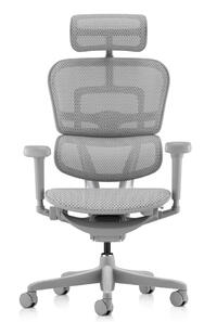 Ergohuman 2 Ultra ST Gray