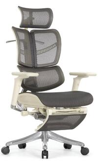 Falto FLY 2 footrest